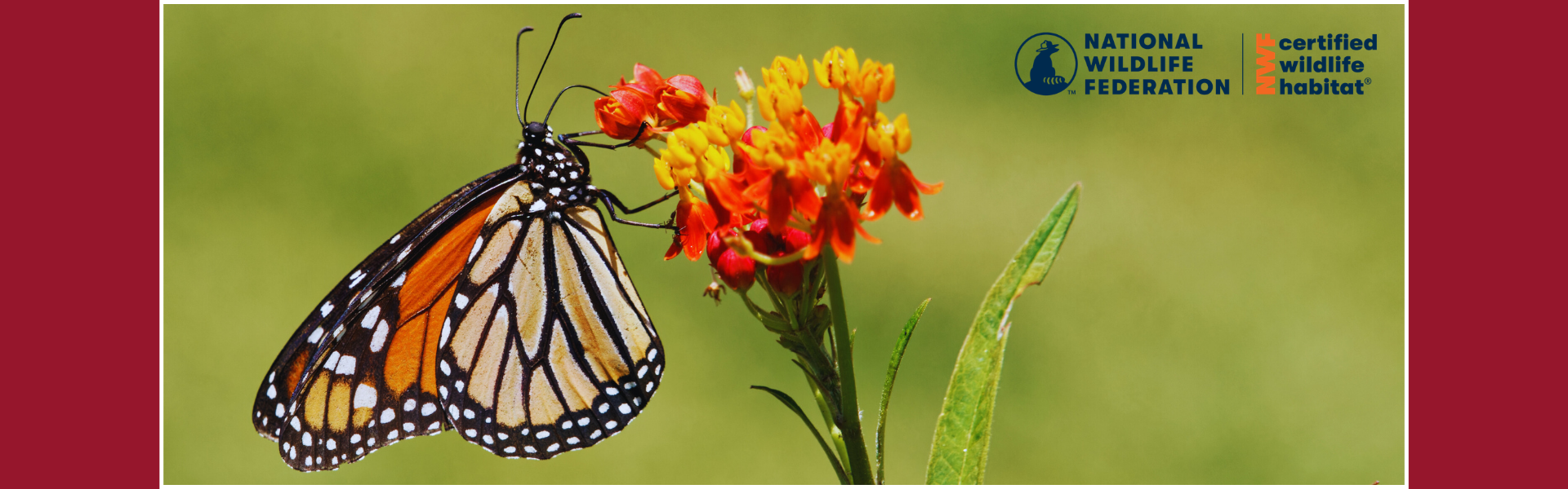 Thee Quad Resorts — Certified Wildlife Habitat